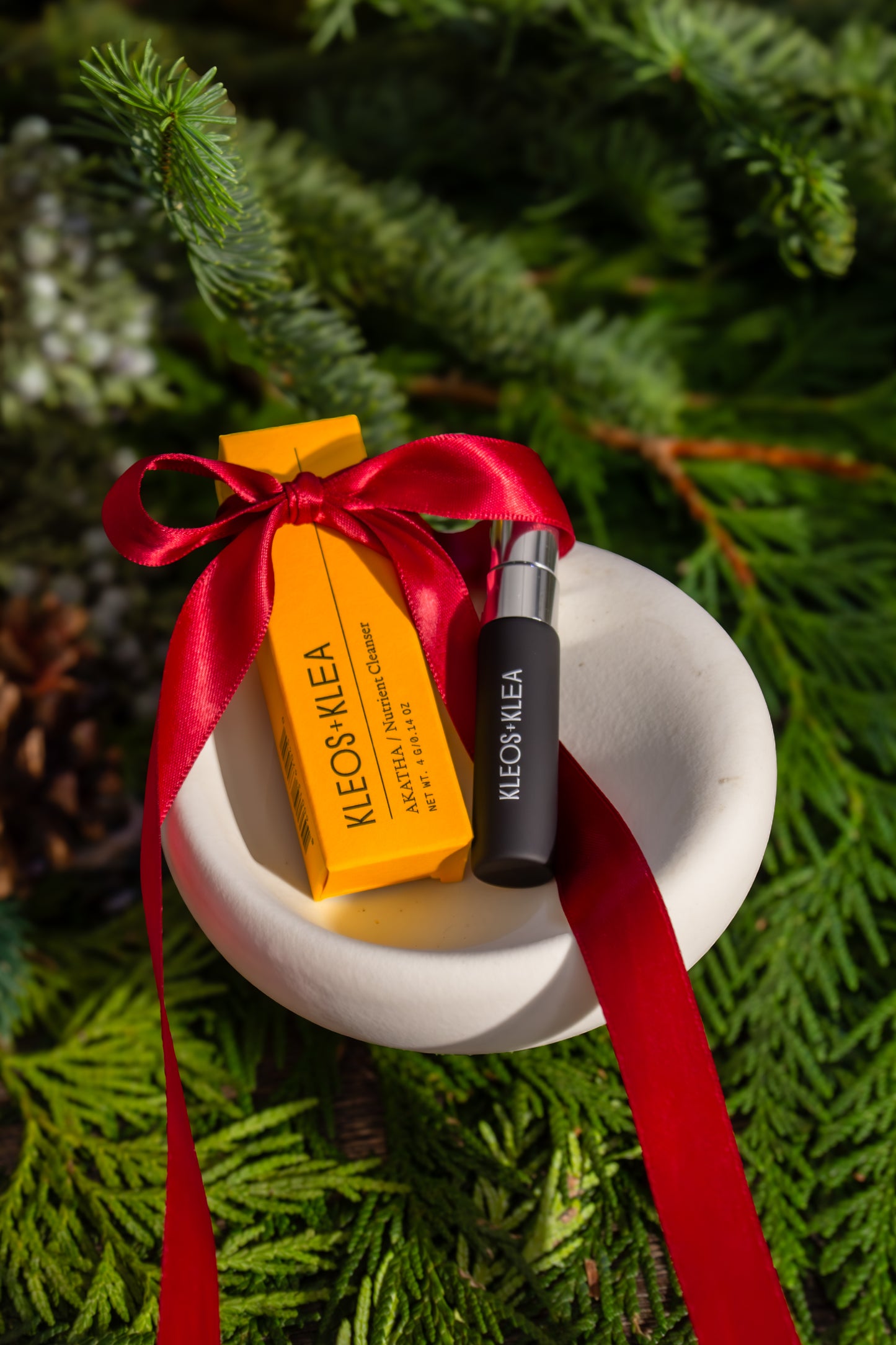 DISCOVERY SET + THALLO BOWL