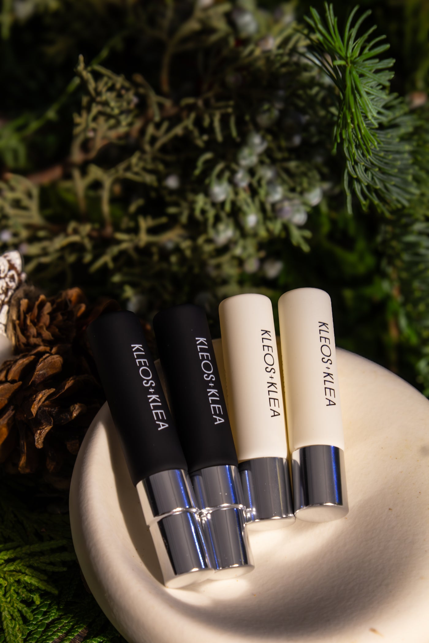 DISCOVERY SET + THALLO BOWL