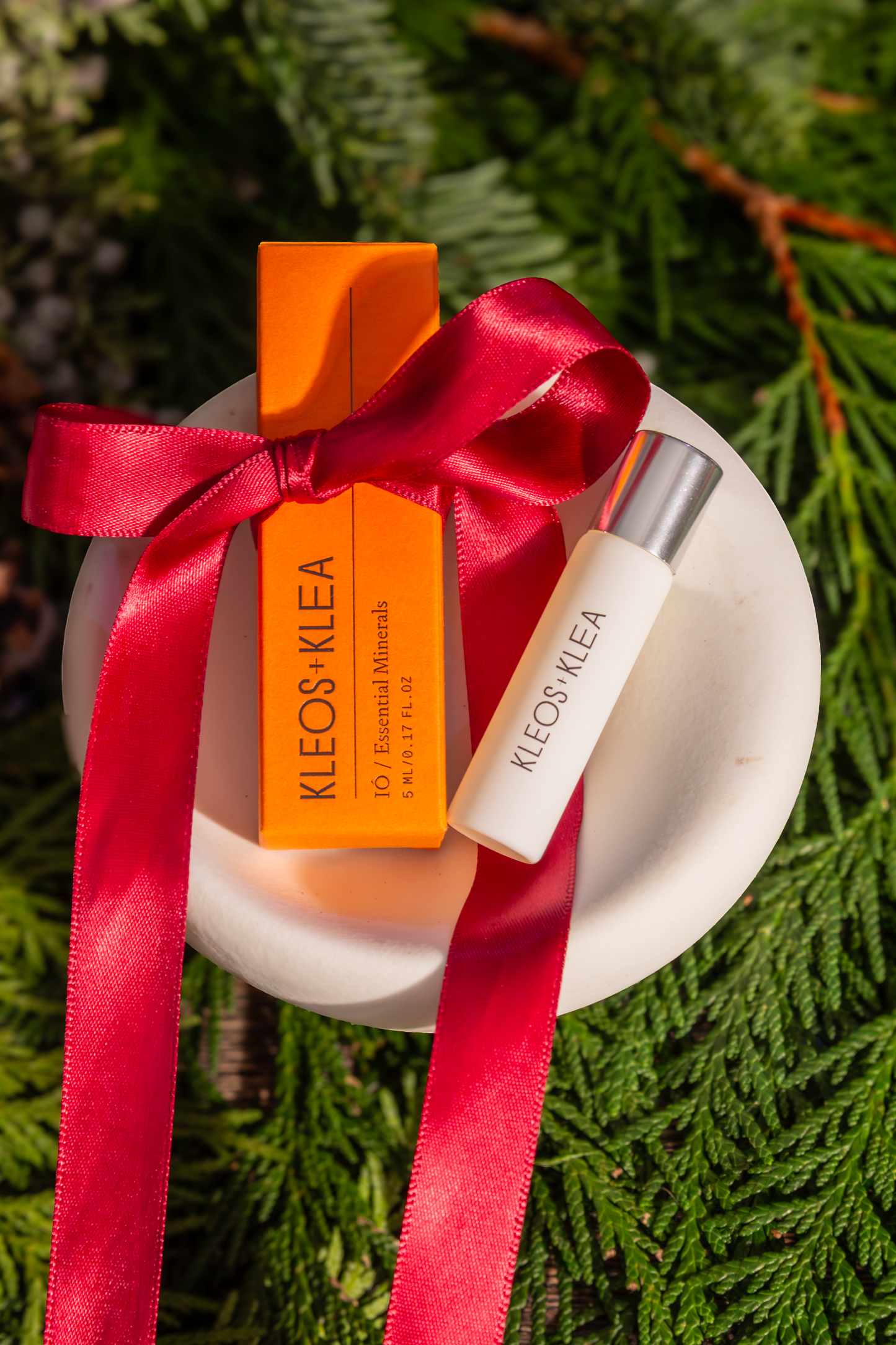 DISCOVERY SET + THALLO BOWL