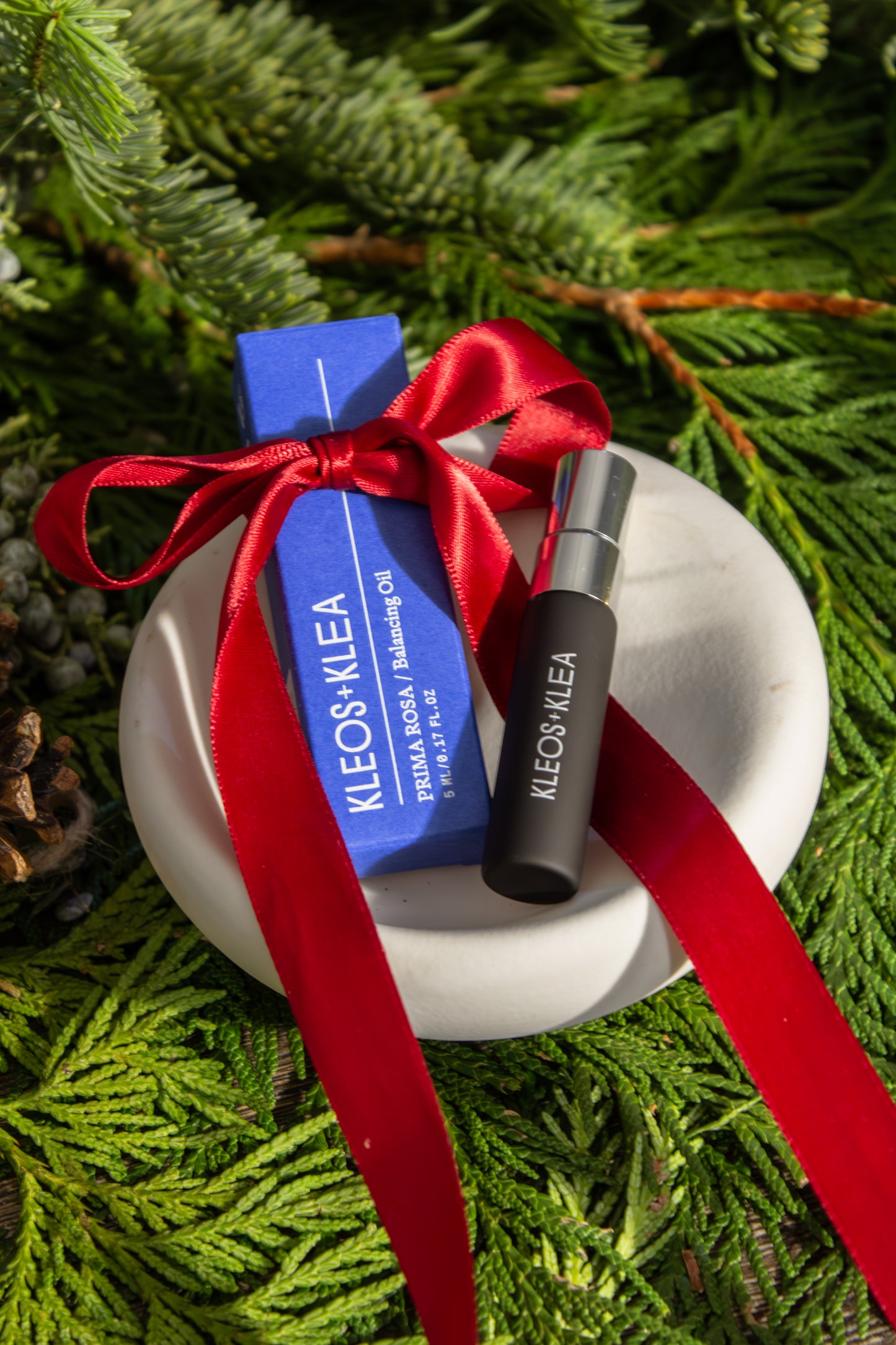 DISCOVERY SET + THALLO BOWL