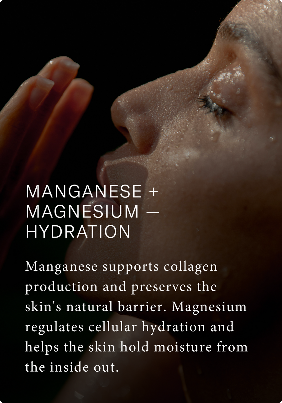 IO - hydration