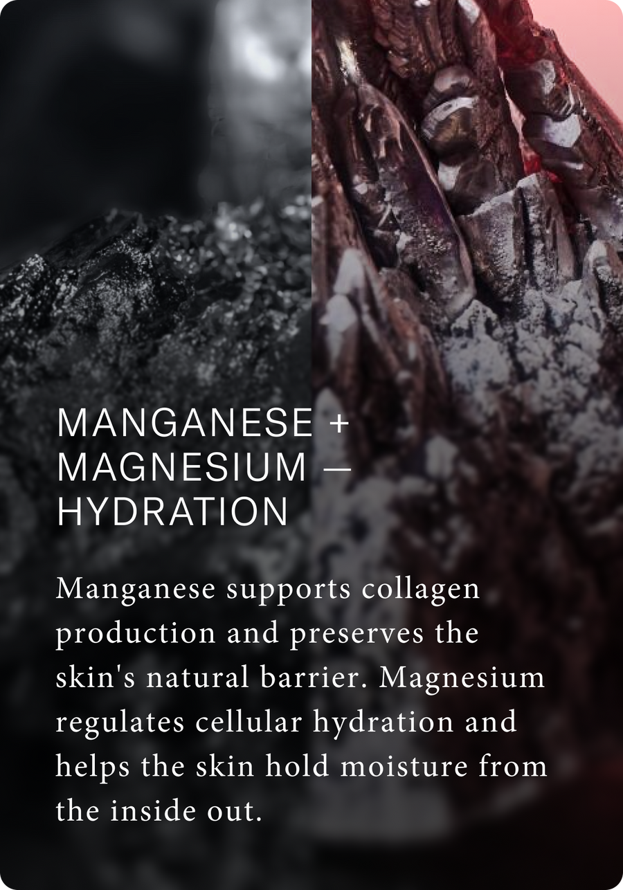 IO - hydration