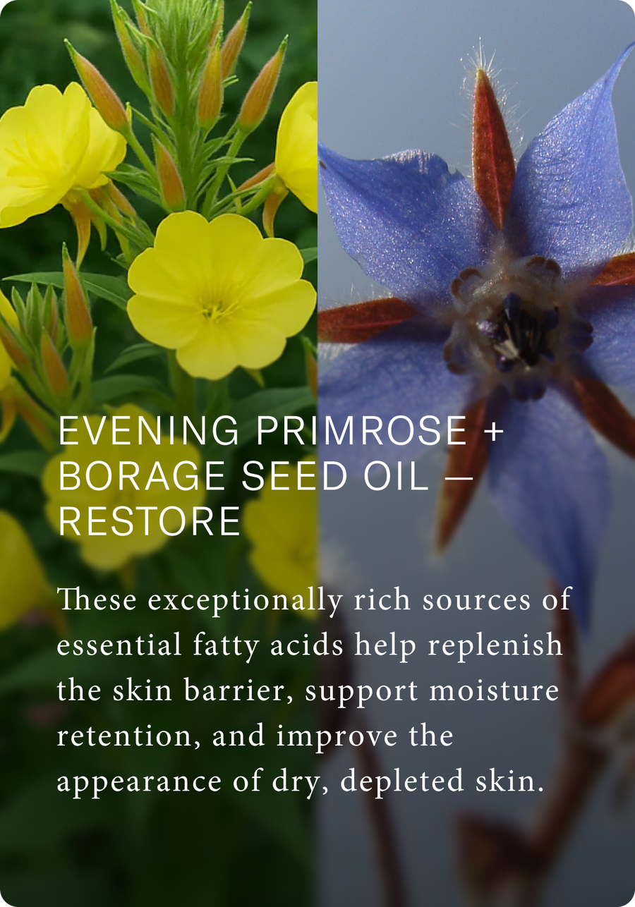 PM - RESTORE